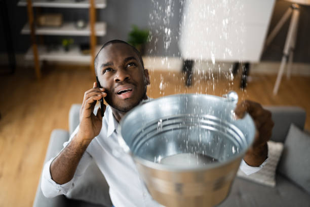Best Professional water damage repair  in Mclean, VA