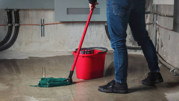 Best Local water damage restoration  in Mclean, VA
