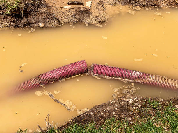 Best Flood restoration services  in Mclean, VA