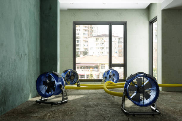 Best Water damage restoration cost  in Mclean, VA
